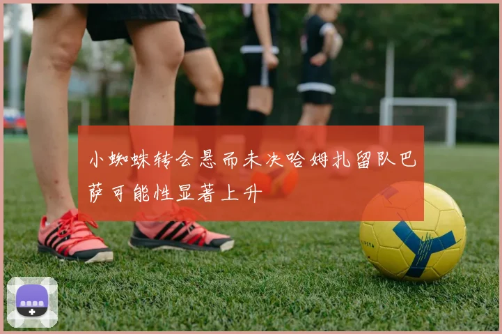 小蜘蛛转会悬而未决哈姆扎留队巴萨可能性显著上升
