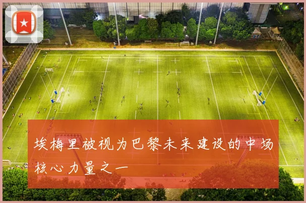 埃梅里被视为巴黎未来建设的中场核心力量之一